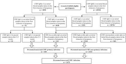 Association Between First-Trimester Maternal Cytomegalovirus Infection and Stillbirth: A Prospective Cohort Study